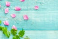 Shabby chic tabletop with rose petals Royalty Free Stock Photo