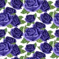 Shabby chic vintage rose blue, vintage seamless pattern, classic calico floral repeat background for web and print. Royalty Free Stock Photo