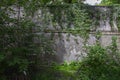 Shabby concrete wall with foliage