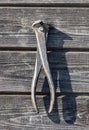 Shabby rusty metal pliers (wire cutter) with red handles hanging Royalty Free Stock Photo