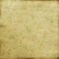 shabby vintage antique floral wallpaper background Royalty Free Stock Photo