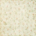 Shabby vintage floral rose background