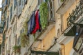 shabby walls and hanging electrical cables are typical of the greek capital of corfu