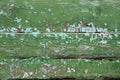 Shabby Weathered Green Wood Background