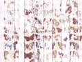 Shabby wood-grain texture white washed with distressed butterfly pattern Royalty Free Stock Photo