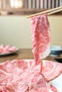 Shabu shabu Royalty Free Stock Photo