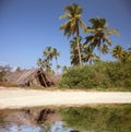 The shack on the beach Royalty Free Stock Photo