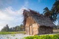 Shack on a beach Royalty Free Stock Photo