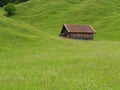 Farm shed in green hills of alpine upland summer season nature