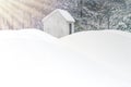 Shack in Snow Mounds with Trees and Sun Flares Royalty Free Stock Photo