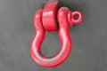 Shackle and hook of a shipping connection