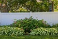 Shade garden with hosta and bleeding heart