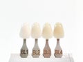 Shade guide bleach color tooth dental whitening, bleaching, quality control and color check at artificial dentition in