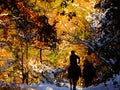 Horseriders in a colorful forest covered with snow Royalty Free Stock Photo