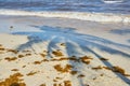 The shade of a palm tree on a tropical beach in the Caribbean Sea in Mexico. Royalty Free Stock Photo