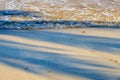 The shade of a palm tree on a tropical beach in the Caribbean Sea in Mexico. Royalty Free Stock Photo