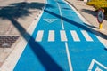 Shade from palm trees on the bike path. bicycle path. bike path with pedestrian crossing sign in the shade of palm trees Royalty Free Stock Photo