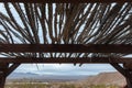 Ocotillo stems provide some roof shade Royalty Free Stock Photo