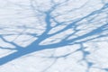 Shade from a tree on bright snow