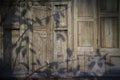 Shade of tree leaves on old teakwood windows or door background