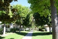 Shade trees line walkway