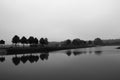 shade of trees on the surface of the lake at the International Museum of Wind and Water Mills located in Gifhorn, Lower Saxony, Royalty Free Stock Photo