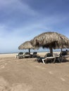 Shade Umbrellas on the beach