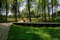 Shaded benches on planked platform in flowering sunny spring Royalty Free Stock Photo