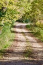 Country Lane on a Sunny Day