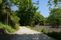 Shaded country road at edge of aged town