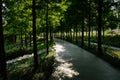 Shaded curving path with drain ditch alongside in sunny summer a