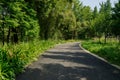 Shaded curving path in sunny summer morning Royalty Free Stock Photo