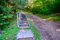 Shaded forest path with wooden stairs, lush summer foliage, and dense grassy undergrowth. Royalty Free Stock Photo