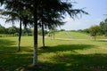 Shaded grassy playground with circular slope in sunny summer morning