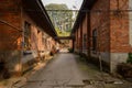 Shaded path between abandoned red brick single-storey houses of 1970s