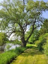 A Shaded Path at Embro Pond Conservation Area Royalty Free Stock Photo