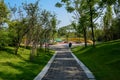 Shaded path in lawn on slope to colorful playground in sunny sum