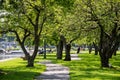 A shaded path leads between trees at Mamaroneck Harbor Island Park Royalty Free Stock Photo