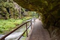 A shaded path beside a stream of water flowing through a forest