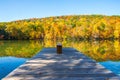 Shaded pier in a pond surrounded by colorful fall foliage Royalty Free Stock Photo