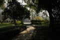 Shaded riverside path in sunny winter afternoon