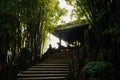 Shaded stairway in bamboo before gallery