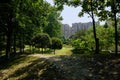 Shaded trail on slope in trees with dwelling buildings in background on sunny day