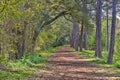 Sawgrass Lake Park Shaded Walking Trail