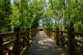 Shaded wooden bridge over river in woods of sunny summer morning