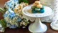 Shades of Blue Macaroons on Dessert Tray