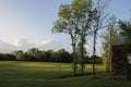 Shades of green field with trees in foreground and background and blue sky with white clouds. Royalty Free Stock Photo