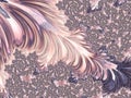Delicate Pink Feather Fractal
