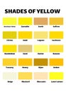 Shades of yellow illustration vector, each labeled with names Royalty Free Stock Photo