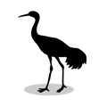 Shadoof bird black silhouette animal